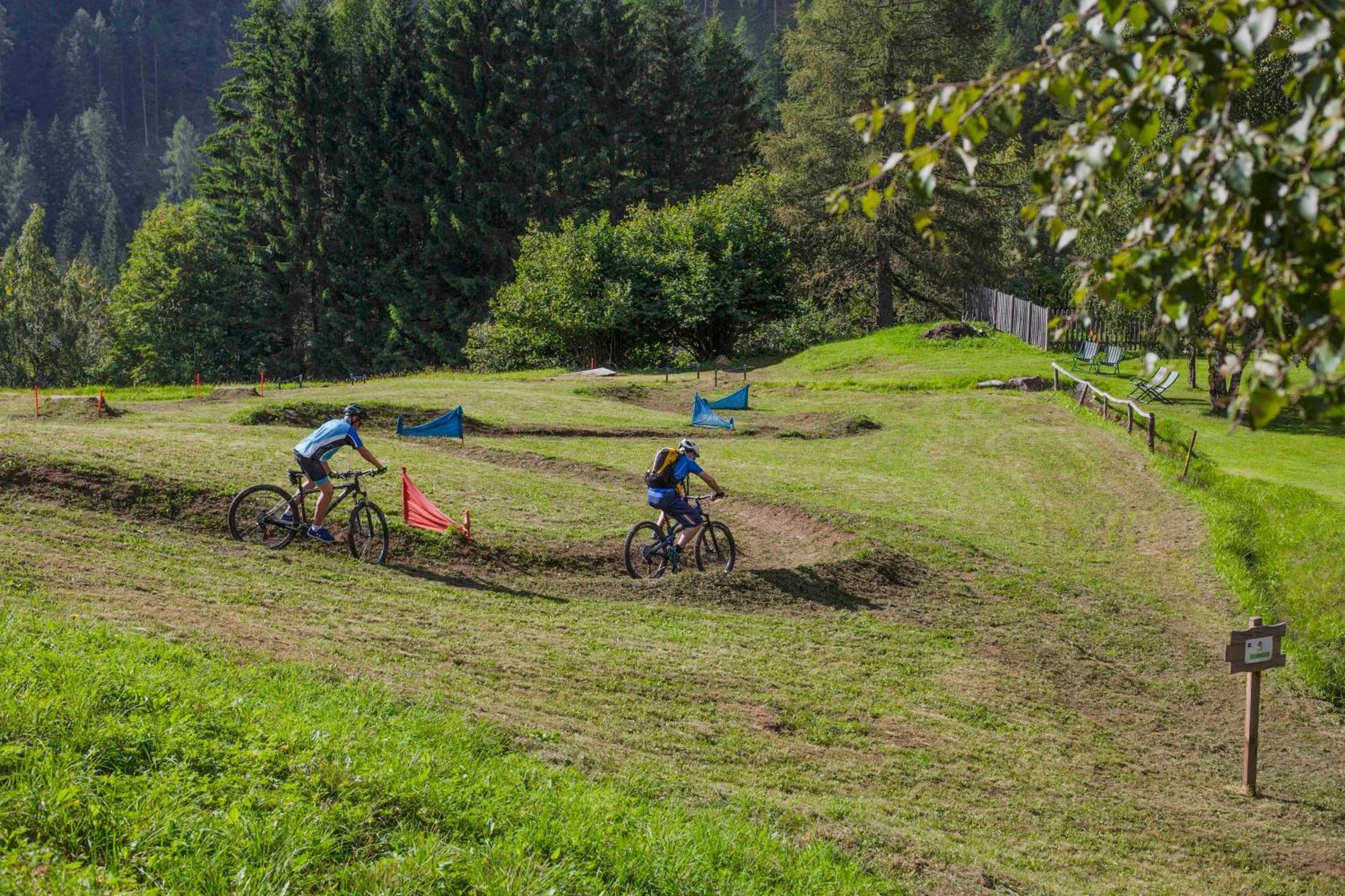 Baita Vioz Peio Fonti Bagian luar foto